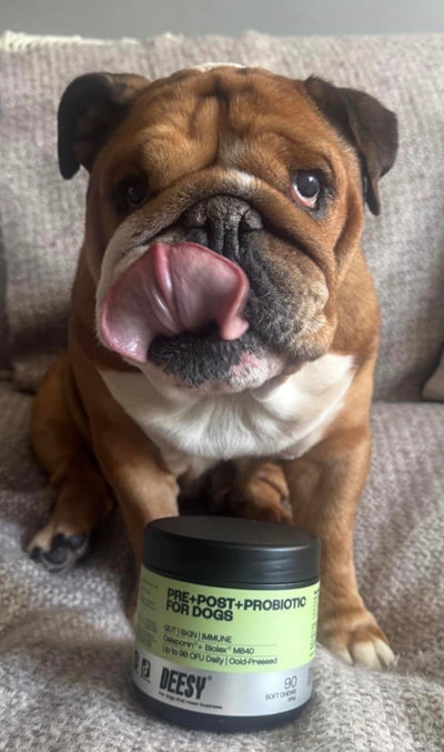 Customer photo