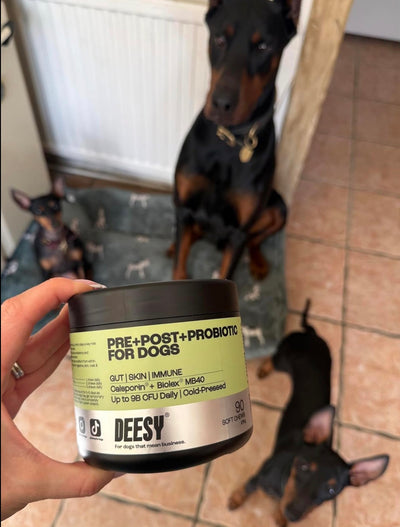 Customer photo
