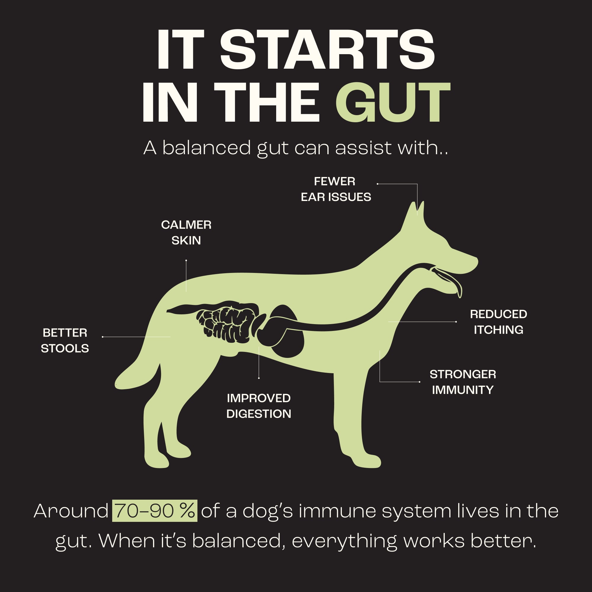 DEESY® Probiotics For Dogs